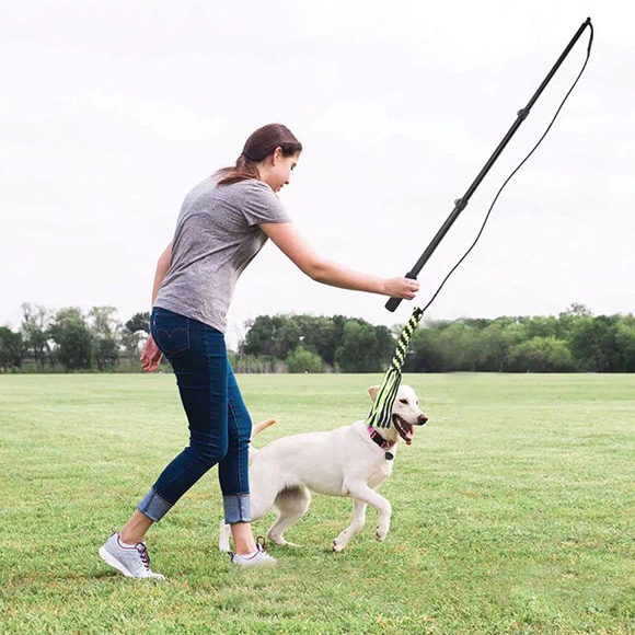 Pólo telescópico interativo para animais de estimação
