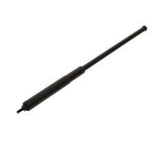 Al&ccedil;a telesc&oacute;pica para recupera&ccedil;&atilde;o de bola de golfe